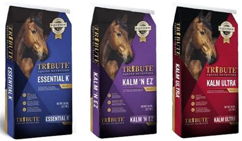 7 Best Horse Feed Brands for Horse Owners (2021)