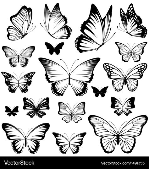 Butterfly silhouettes Royalty Free Vector Image