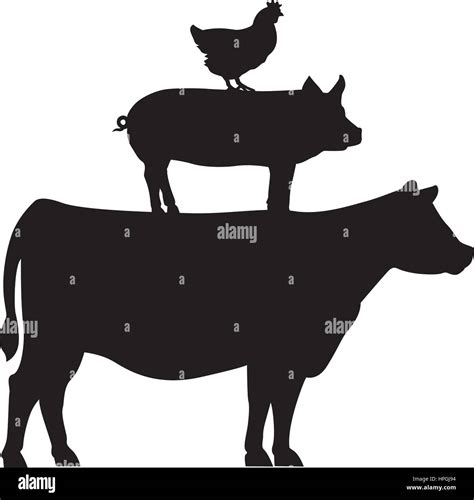 Chicken, pig and cow stacked Stock Vector Image & Art - Alamy