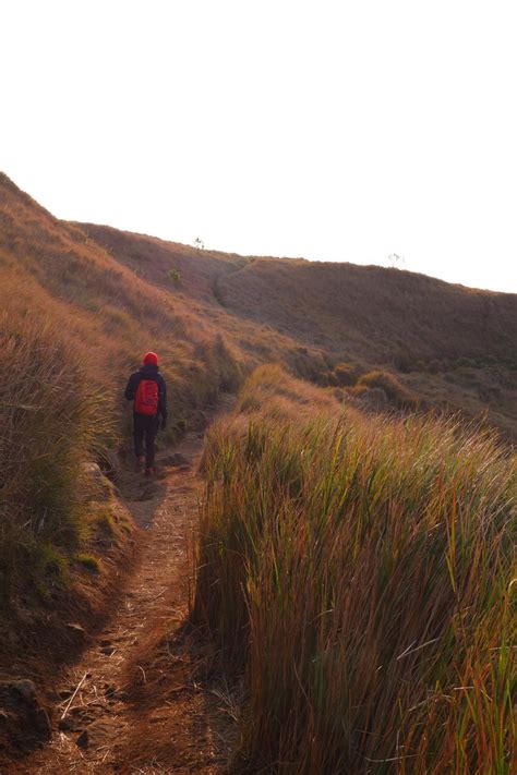 Mount Pulag, Philippines - La Vie Zine