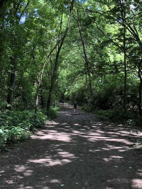 Kid-Friendly Trails at Columbus Metro Parks