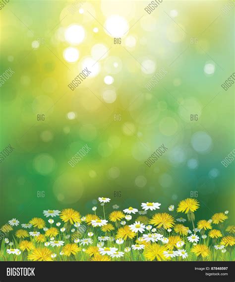 Vector Sunshine Vector & Photo (Free Trial) | Bigstock