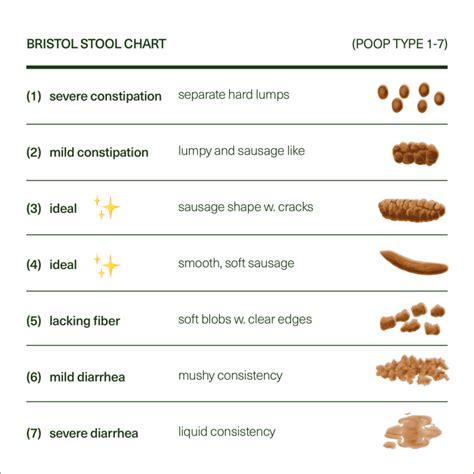 There's a Scale for Your Poop. Here's How to Read It. • Seed