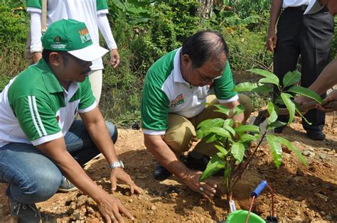 ARTIKEL Menanam Pohon | Manfaat Menanam Pohon|VIDEO MENANAM POHON - Materi Klasik