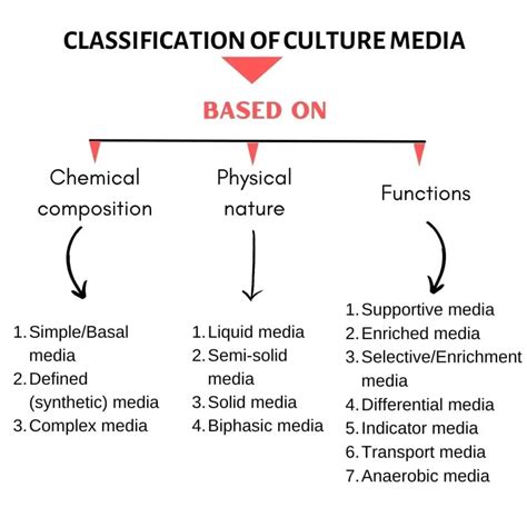 BACTERIAL CULTURE MEDIA | Microbiology