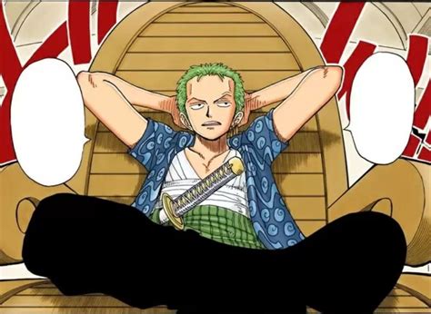 Roronoa Zoro, Manga, One Piece, Park, Piecings, Fit, Quick, Character ...