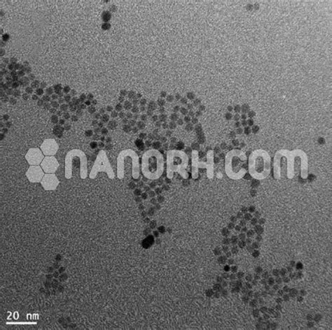 Iron Oxide Magnetic Nanoparticles Solution - Nanorh