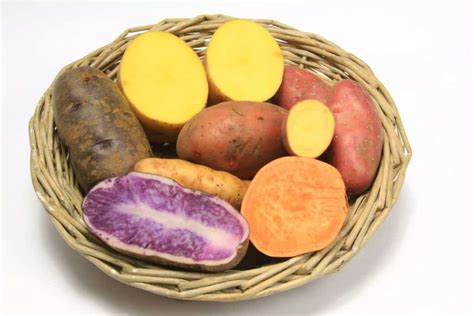 Top 6 Health Benefits of Sweet Potatoes (+ Decadently Healthy Recipes ...