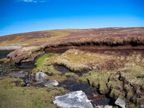 Climate Change & Technology led Peatland Restoration - Environment Systems