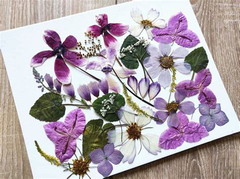 an arrangement of purple and white flowers on a piece of paper