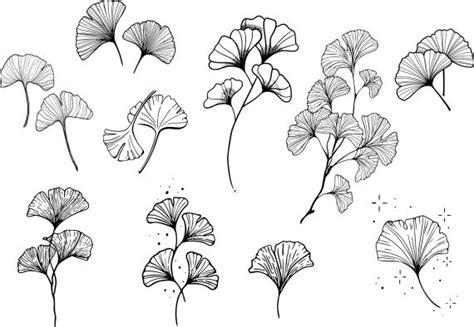 Ginkgo Tattoo Set Vector (EPS, SVG) | OnlyGFX.com