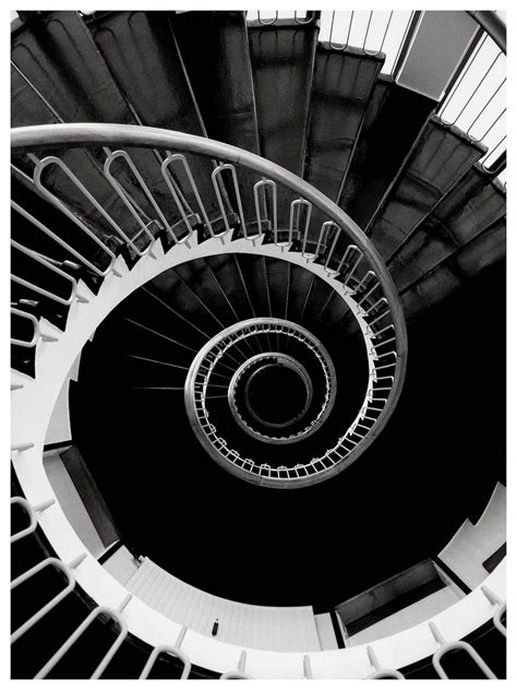 Fibonacci Spiral Photos, Download The BEST Free Fibonacci Spiral Stock ...