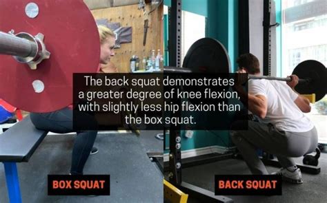 Box Squat vs Back Squat: Differences, Pros, Cons ...