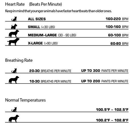 Dog Heart Rates and Pulses Infographic | Vet tech school, Vet medicine, Vet tech student