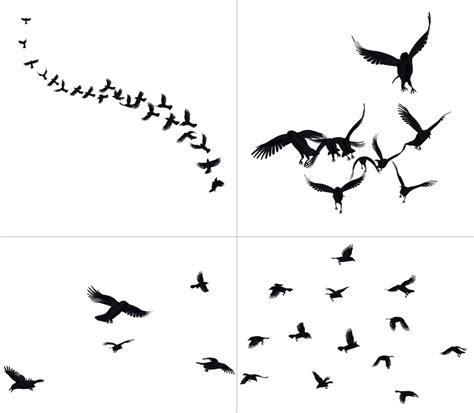 Crows In Flight PNG Stock by Roy3D on DeviantArt