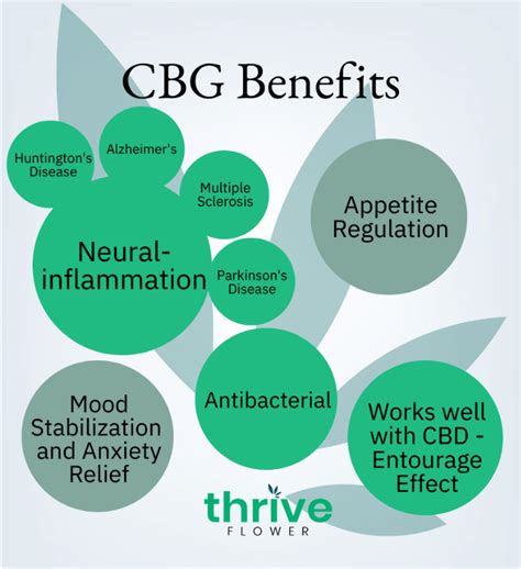 What is CBG? | Thrive Flower CBD | Learn about CBG