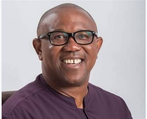 Peter Obi Biography | Age | Education | Wife | Children | Net Worth ...