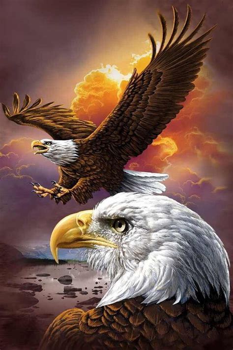 345 best images about EAGLE- DRAWING AND PAINTING on Pinterest | How to ...