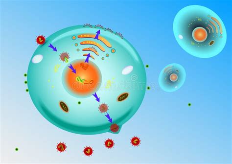 Influenza Flu Virus Structure Stock Illustration - Illustration of epidemic, gene: 9252631