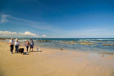 Beaches - Fife Coast & Countryside Trust