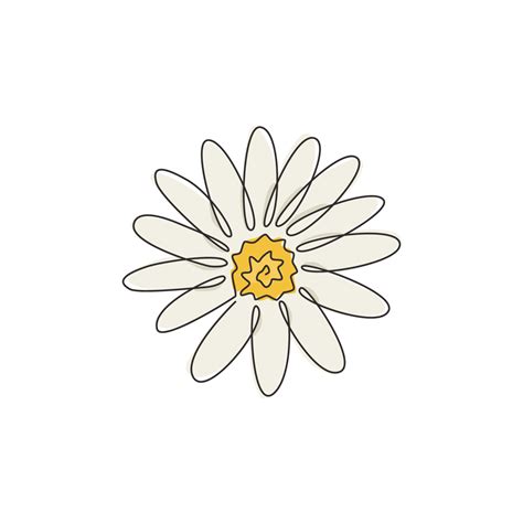 One continuous line drawing of beauty fresh bellis perennis. Printable decorative poster common ...