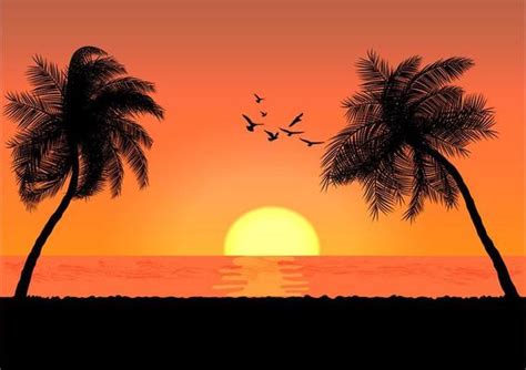 Sunrise Vector Art, Icons, and Graphics for Free Download