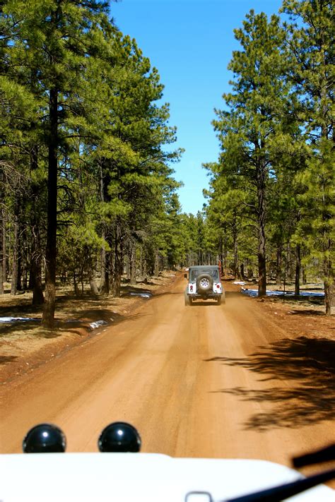 Explore the Majestic White Mountains in Arizona