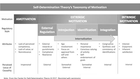 [PDF] Intrinsic and extrinsic motivation from a self-determination ...