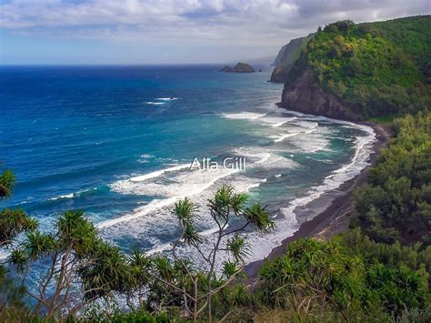 "Pololu Valley Lookout" by Alla Gill | Redbubble