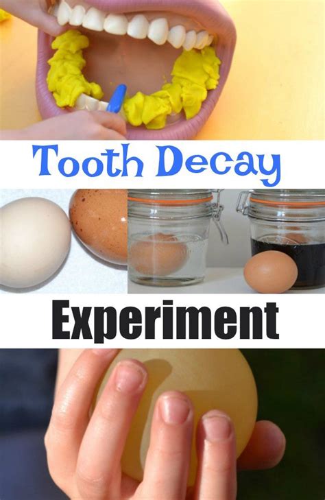 Tooth decay experiment with egg shells – Science Experiments for Kids Science Experiments Kids ...