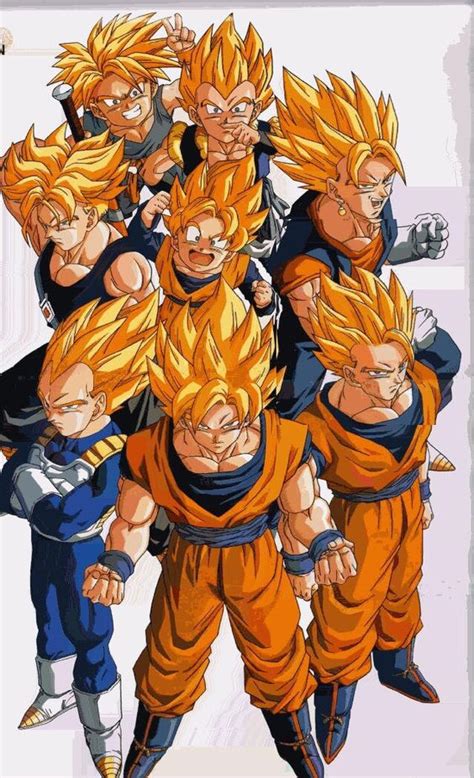 The Super Saiyans:Goku,Vegeta,Gohan,Gogeta,Goten,Future Trunks,Trunks ...