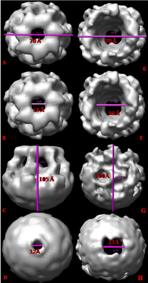 Resolution determination of three-dimensional structure of hemolysin ...