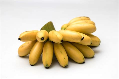 Everything You Should Know About the Lady Finger Banana Tree - Minneopa ...