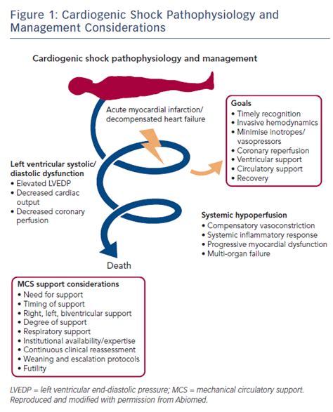 Figure 1: Cardiogenic Shock Pathophysiology and Management ...