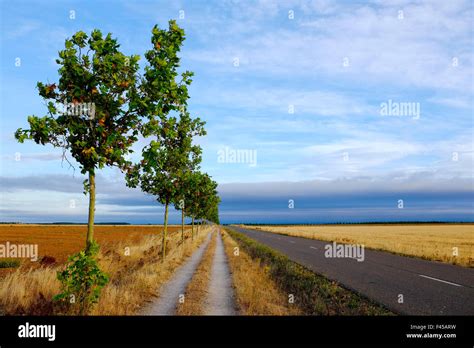 Reliegos hi-res stock photography and images - Alamy