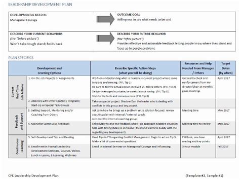 Professional Development Plan Sample: New Leadership Development Plan