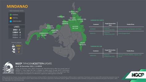 NGCP fully restores power transmission in Mindanao | Power Philippines