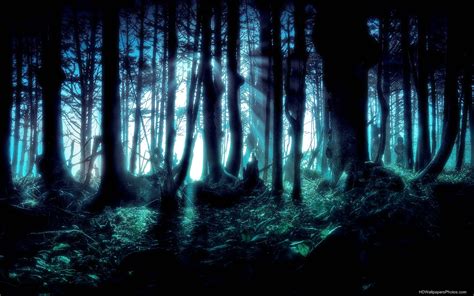 HD Dark Forest Wallpaper - WallpaperSafari