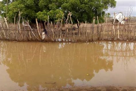 Heavy rains wreak havoc in Wajir | Nation