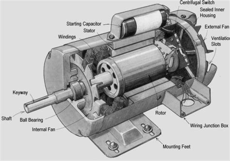 Types of induction motor - Polytechnic Hub