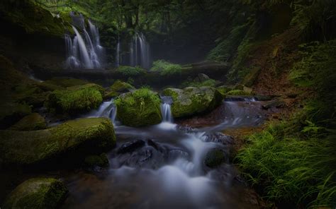 Download Tree Dark Forest Nature Waterfall Wallpaper