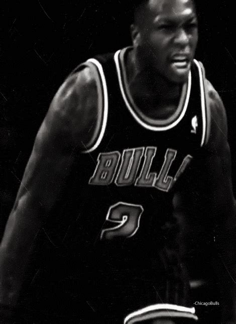 chicago bulls nate robinson gif | WiffleGif