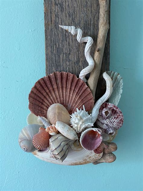 Coastal Wall Art Shell Art Beach Decor Sea Shell Decor | Etsy