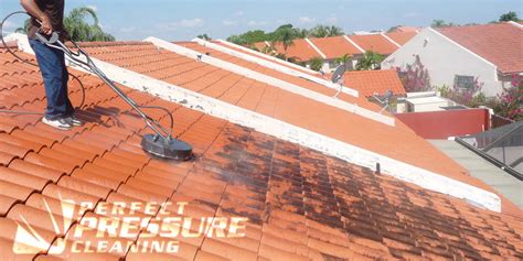 What You Need To Know About Pressure Cleaning Clay and Concrete Roof Tiles - Perfect Pressure ...