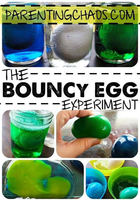 Bouncy Egg Science Experiment for Kids