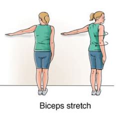 7 Biceps Tendonitis Exercise Help You Regain Strngth | Bicep tendonitis ...