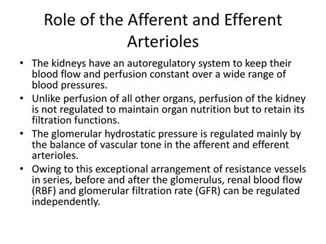 PPT - The Physiology of the Afferent and Efferent Arterioles PowerPoint ...