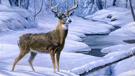 Winter Animal Scenes Wallpaper (36+ images)