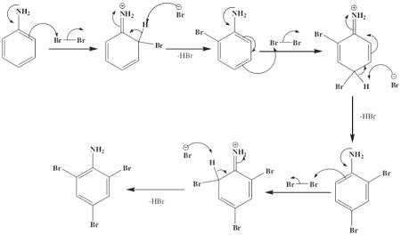 Suggest a mechanism for the bromination of aniline. | Homework.Study.com