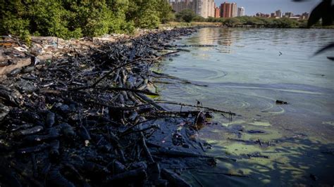 Más de un millar de personas trabajan en la limpieza del Lago de Maracaibo - Soy Nueva Prensa ...